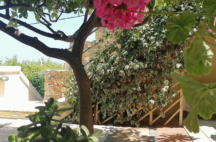 Appartement Wohnung "Zitronenbaum-Terrasse"