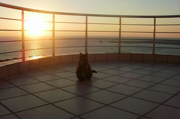 Vakantiehuis Charly Point Villa