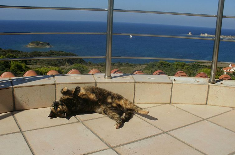 Vakantiehuis Charly Point Villa-Apartment, Doppelzimmer