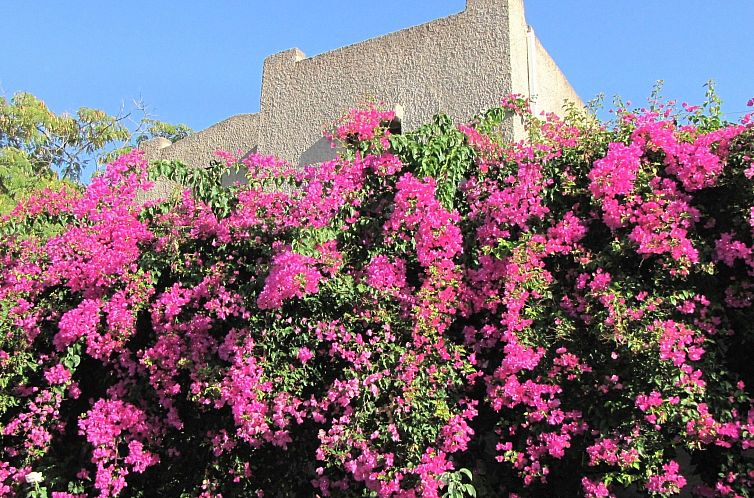 Appartement Bungalows für 2-4 Pers. mit Meerblick