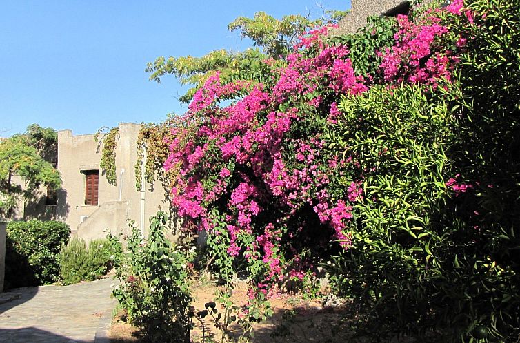 Guest house 0634810 - Apartment Peloponnesia - Appartement Bungalows für 2-4 Pers. mit Meerblick