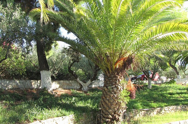 Appartement Bungalows für 2-4 Pers. mit Meerblick