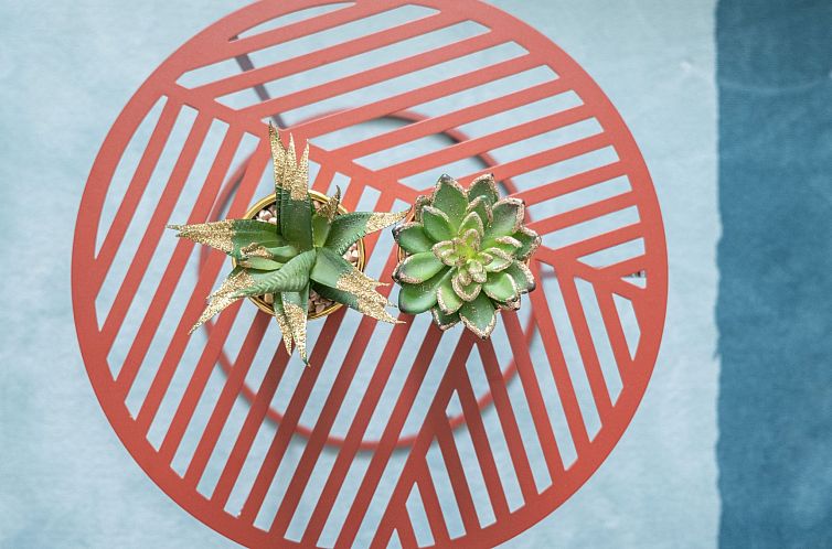 Appartement mit Balkon