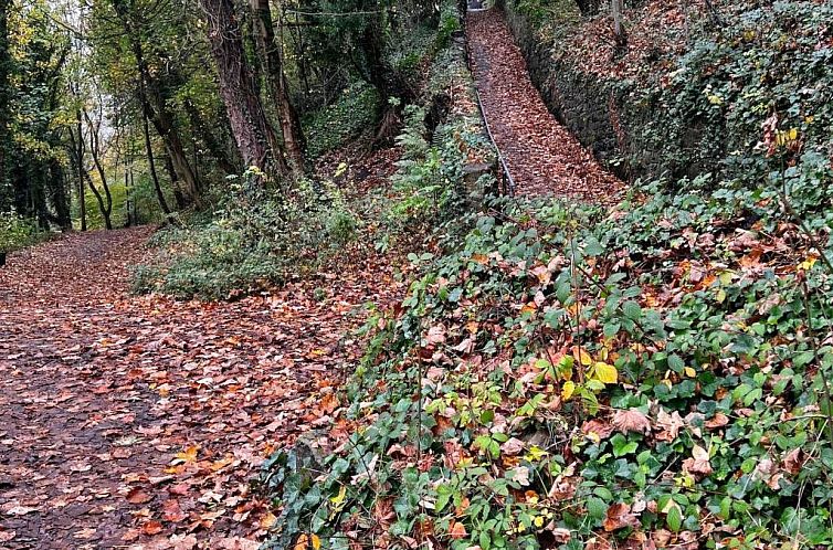 Vakantiehuis Suzy's Cottage