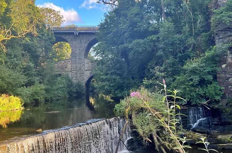 Vakantiehuis Suzy's Cottage