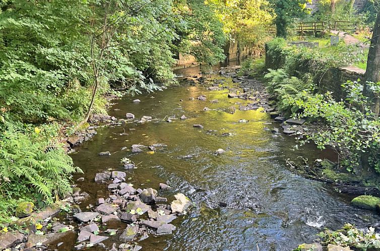 Vakantiehuis Suzy's Cottage