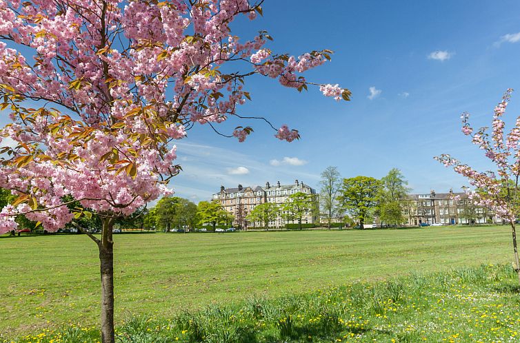 Appartement The Regency