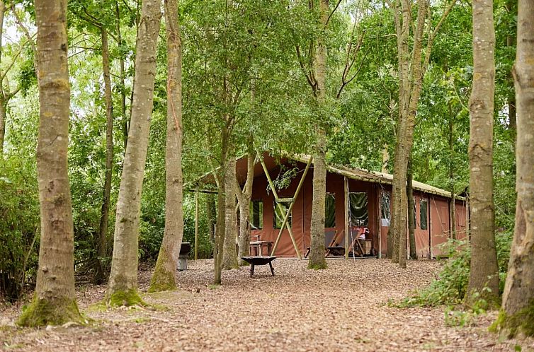 Unterkunft 06514502 - Zelthaus England - Tenthuisje met warme privédouche naast de tent met Hottub