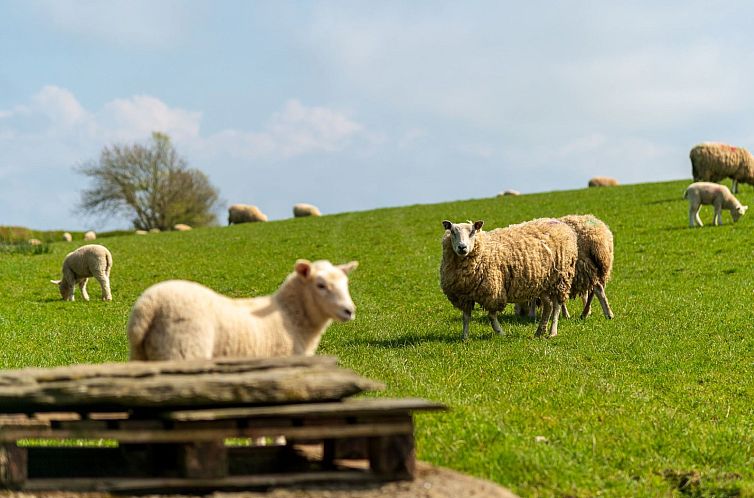 Vakantiehuis Lodge 1