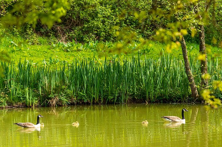 Vakantiehuis Lodge 6 - Hot Tub Lodge