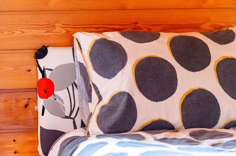 Vakantiehuis Lodge 5