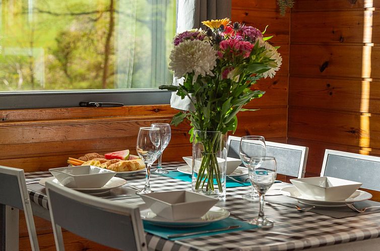 Vakantiehuis Lodge 4 - Hot Tub Lodge