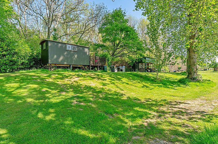 Vakantiehuis Shepherd's Hut at Hilltop Farm