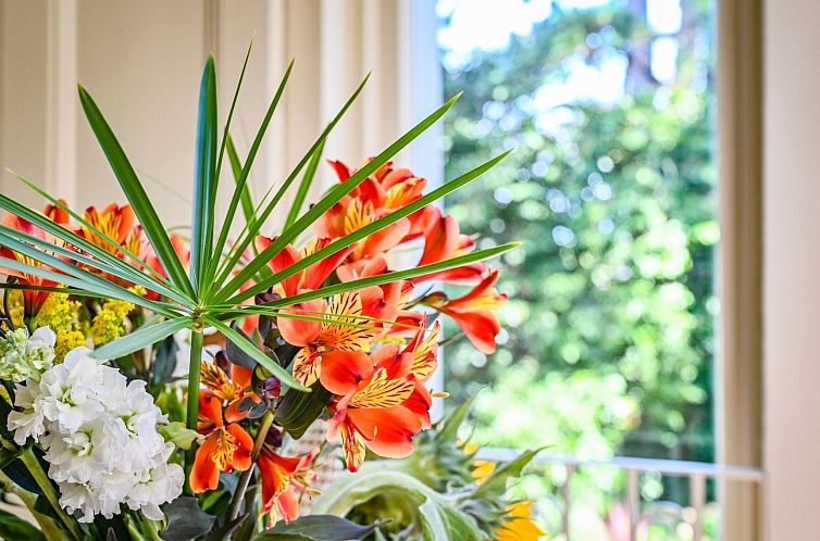 Appartement Luxuriöse Erdgeschosswohnung