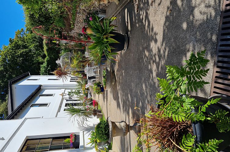 Vakantiehuis The Mews