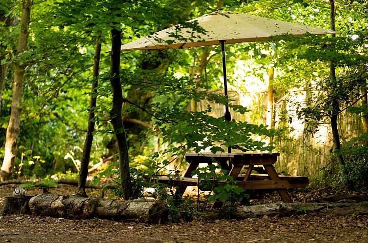 «Bluebelle Glamping Pod»