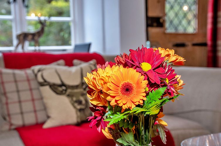 Vakantiehuis Little Haven