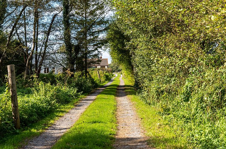 Vakantiehuis The Annexe at Rosebud Cottage