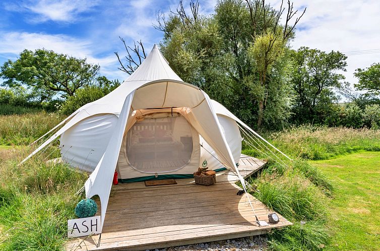 Unterkunft 06543205 - Ferienhaus England - Vakantiehuis Ash Lotus Belle Tent