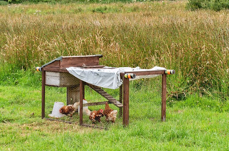 Vakantiehuis Ash Lotus Belle Tent