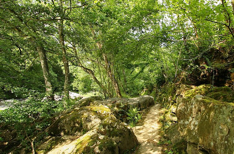 La Cabane de Jade