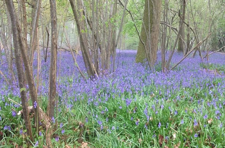 Vakantiehuis The Bakers Hut