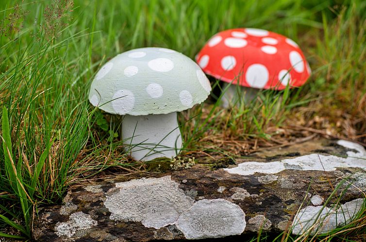 Vakantiehuis Skylarks