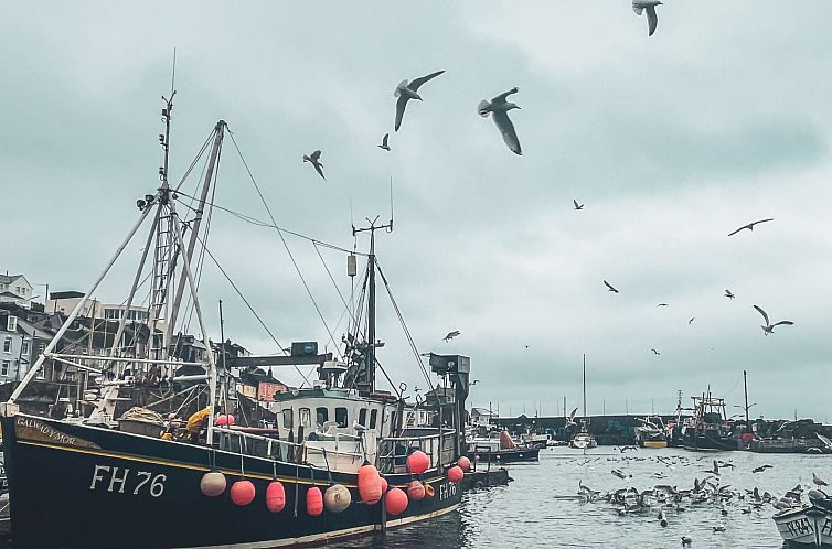 Vakantiehuis Old Harbour Cottage