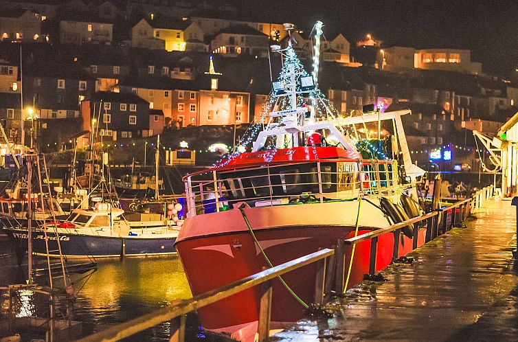 Vakantiehuis Stargazey Cottage