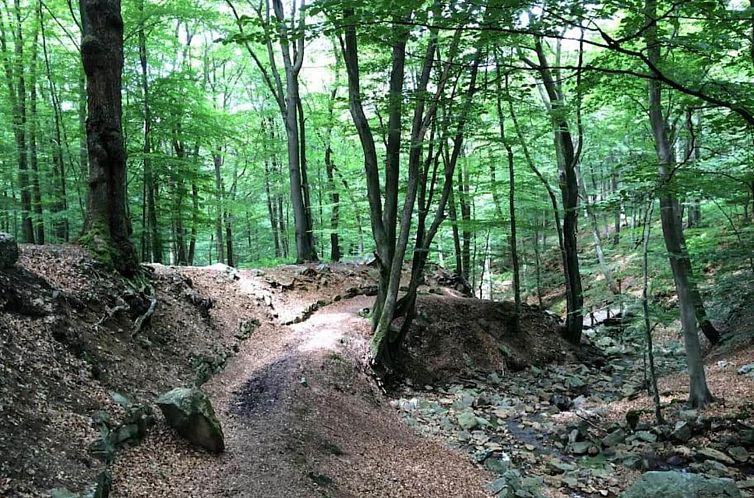 La lavande