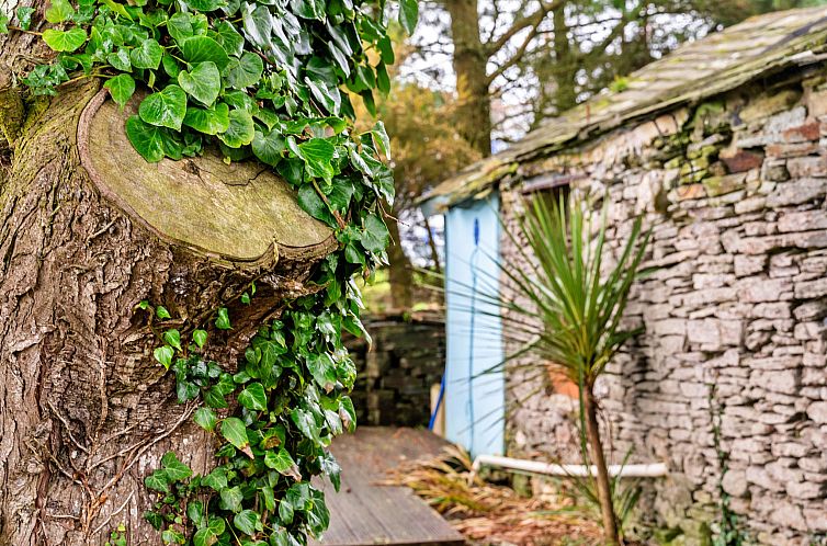 Vakantiehuis Fisherman's Cottage