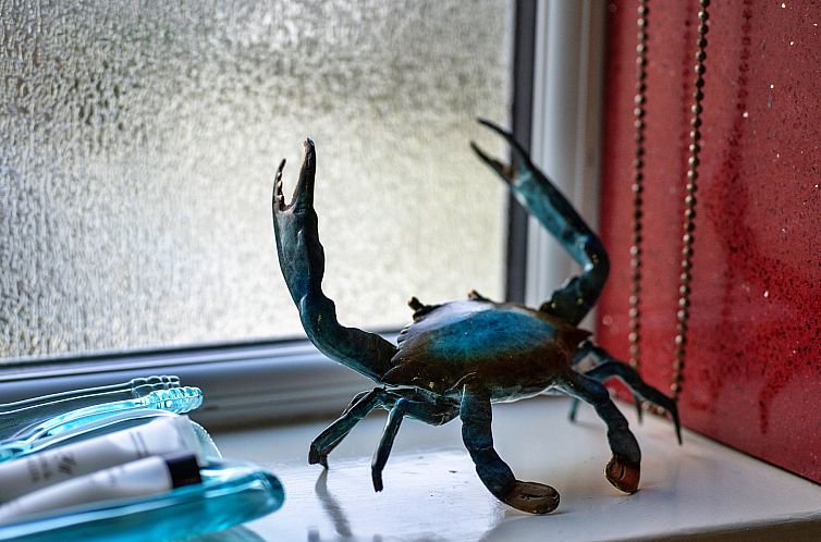 Vakantiehuis Treknow Summerhut