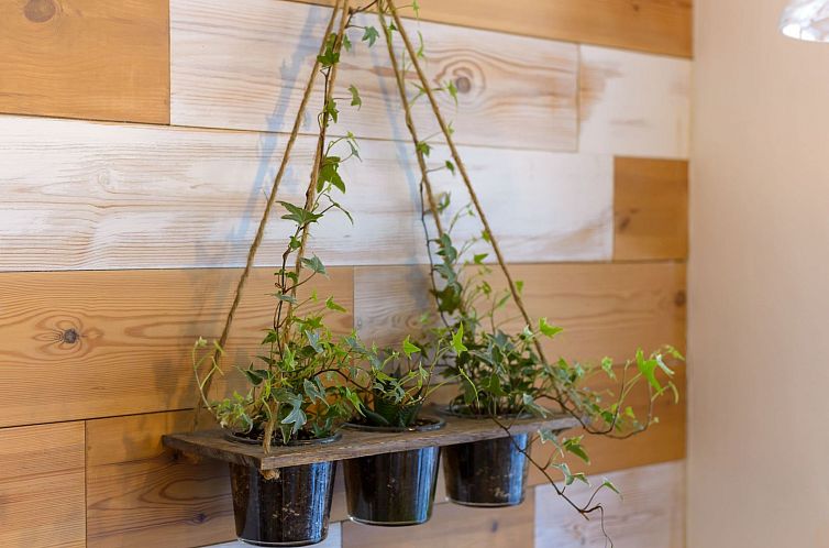 Appartement Tintagel Sea view