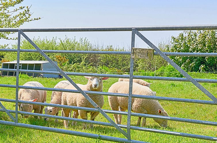 Vakantiehuis Hawthorn Barn