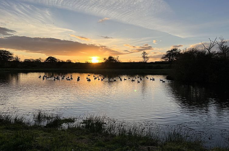 Vakantiehuis Cowslip