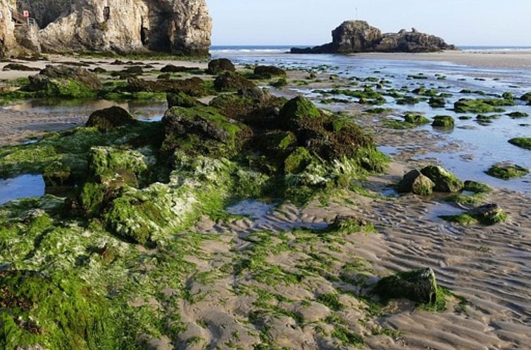 Vakantiehuis Coral Cottage