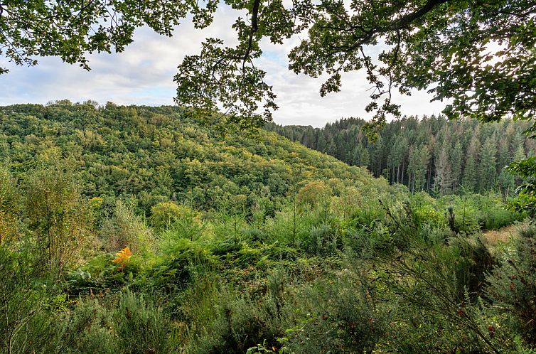 Vakantiehuis Forest Park Lodge