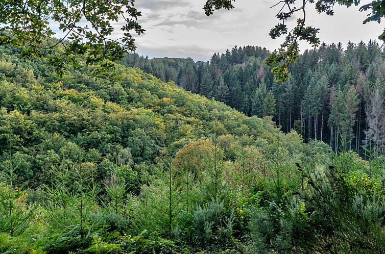Vakantiehuis Forest Park Lodge