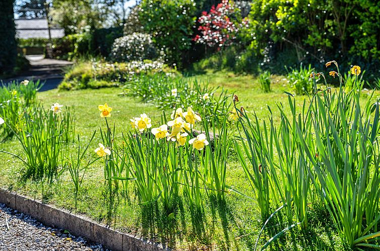 Vakantiehuis Sunny Nook