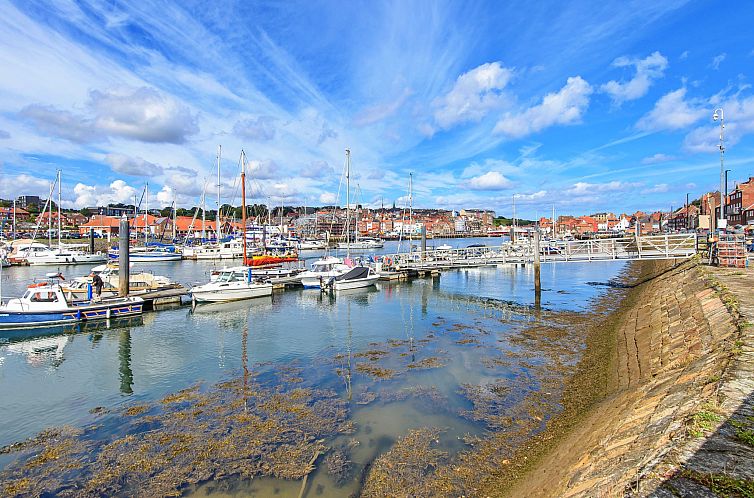 Appartement Ukulele Studio