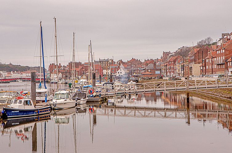 Appartement Ukulele Studio