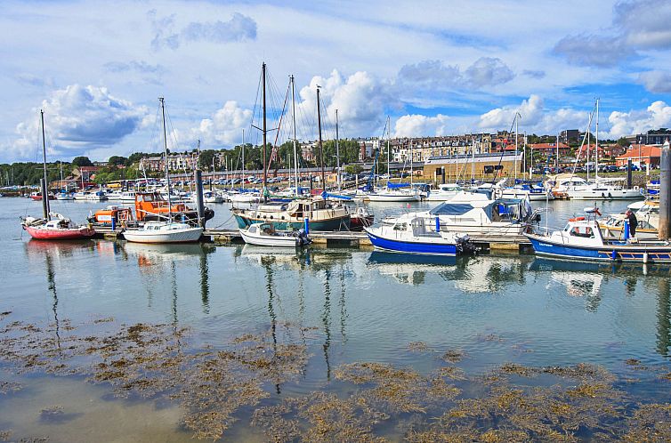 Appartement Ukulele Studio