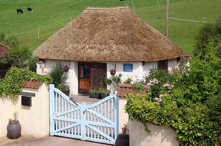 Vakantiehuis The Nest