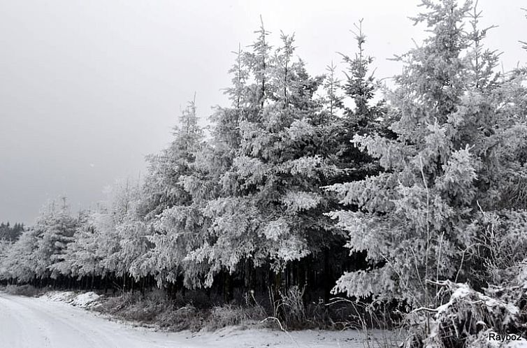 Vakantiehuis in Ottré