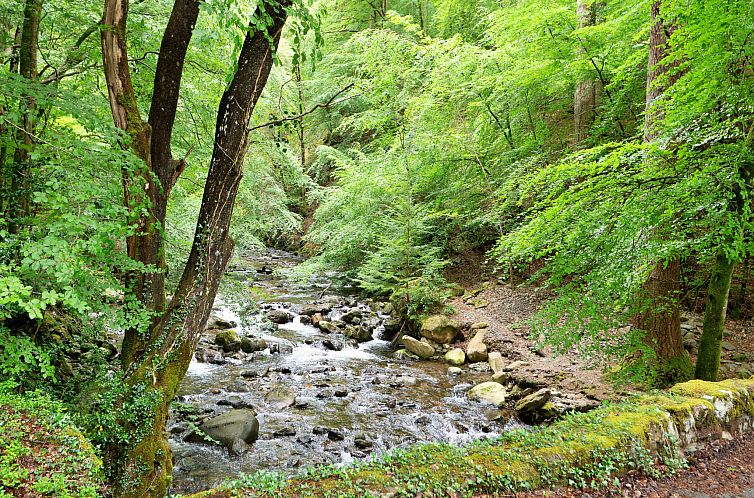 Vakantiehuis Hermon Bach