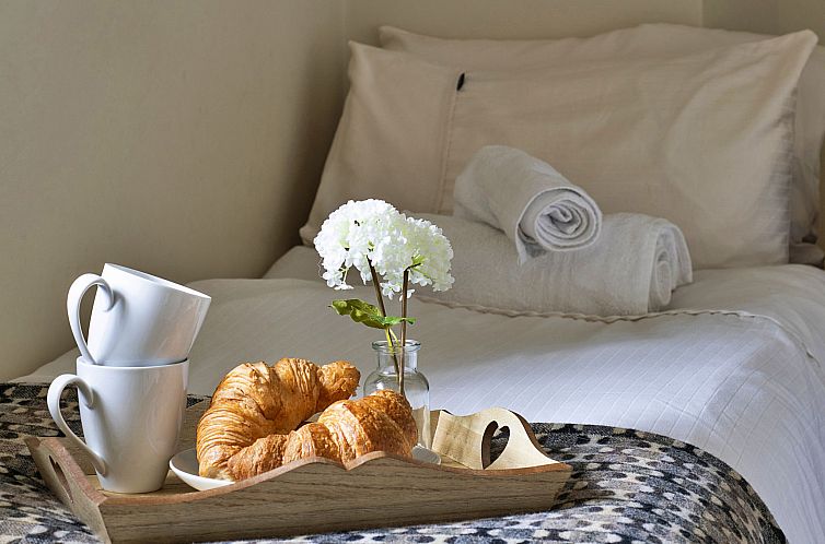 Vakantiehuis Hen Dafarn