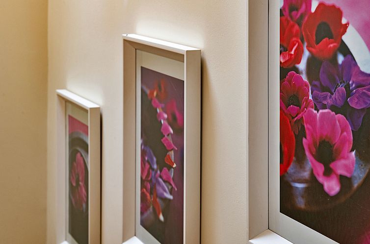 Vakantiehuis Buzzards View