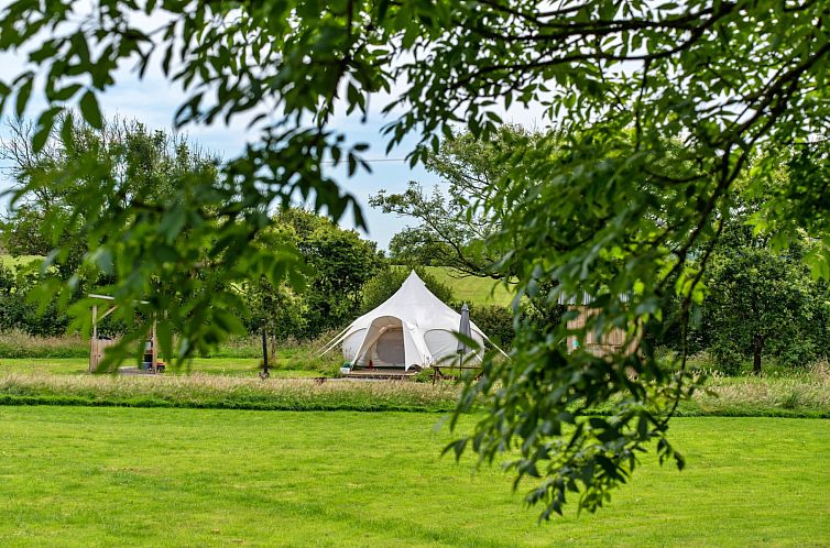 «Oak Lotus Belle Tent»