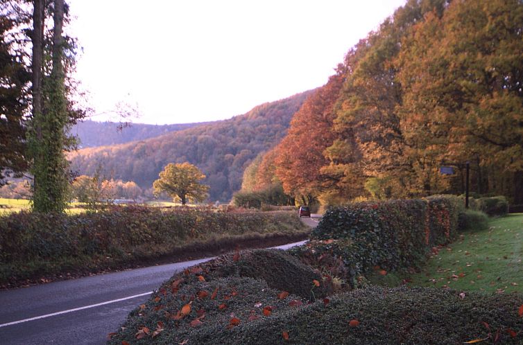 Vakantiehuis Cottage "Foxes Reach" mit Whirlpool