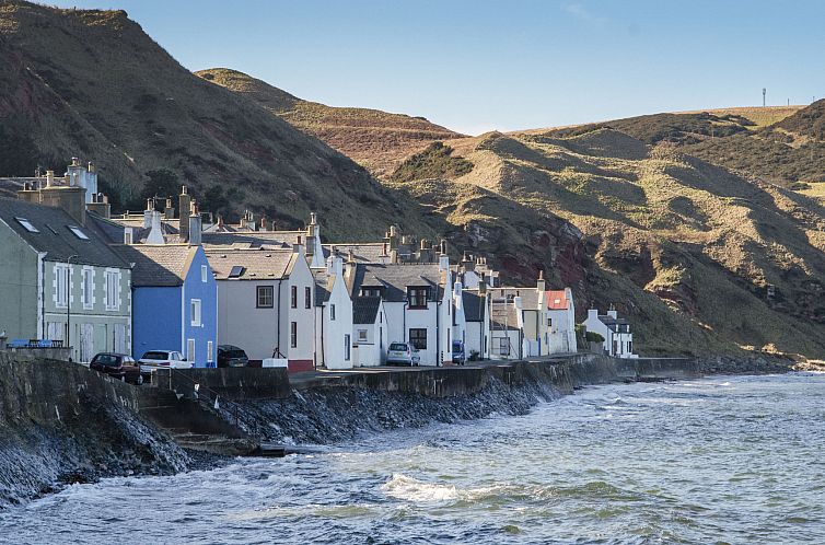 Unterkunft 06810102 - Ferienhaus Schottland - Vakantiehuis Ellie-Jo Cottage